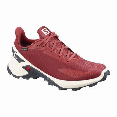 Női Salomon ALPHACROSS BLAST GTX W Terepfutó Cipő SA1304829 Piros